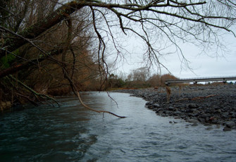 Tukituki River at Ashcott Bridge S.H. 50