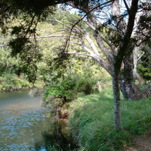 Tairua River