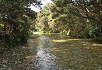 Kenepuru Stream at Kenepuru Head