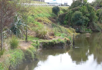 Waimapu at Greerton Park by overbridge