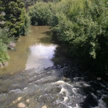 Mahurangi River
