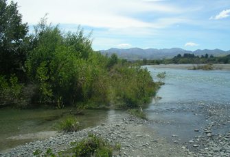 Waiau River site