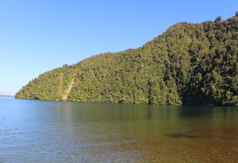 Lake Rotoiti at Hinehopu - View