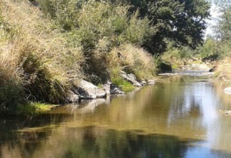 Moutere River.jpg