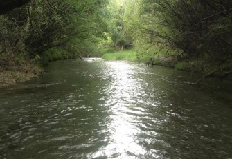 Ealing Spring downstream