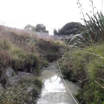 Omaru Creek