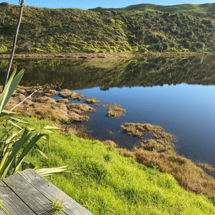 Lake Kohahuake (Parkinsons)