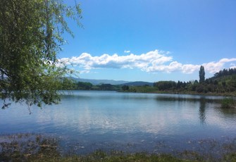 Lake Tutira