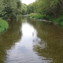 Selwyn River Catchment