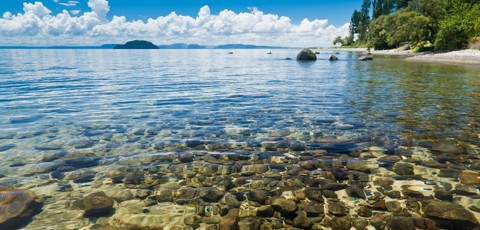 Taupo Lake Water Quality