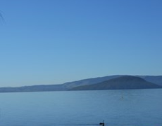 Rotorua Te Arawa Lakes Programme (1)