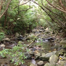 Ohau Stream