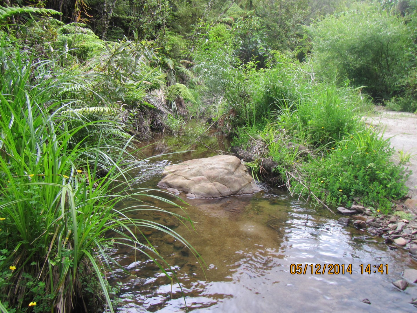 Stream or Discharge: Using the Hydrosocial Cycle to Explore the Meanings of  the Waimapihi Stream in Te Whanganui-a-Tara-Wellington, Aotearoa-New Zealand