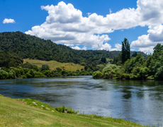 Waikato River