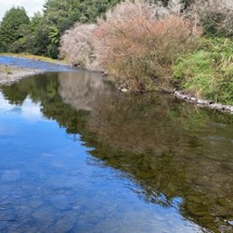 Waiōtahe