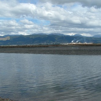 Tasman region