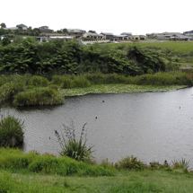 Barrett Lagoon