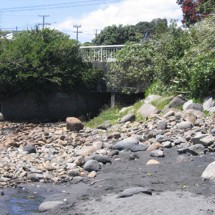 Wairau Stream