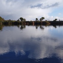 Lake Waiwhakareke (Horseshoe)