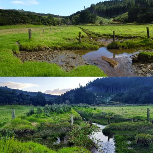 Stream restoration