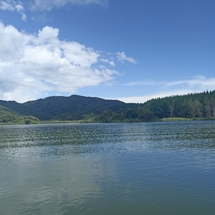 Lake Rotoroa (South of Kawhia)